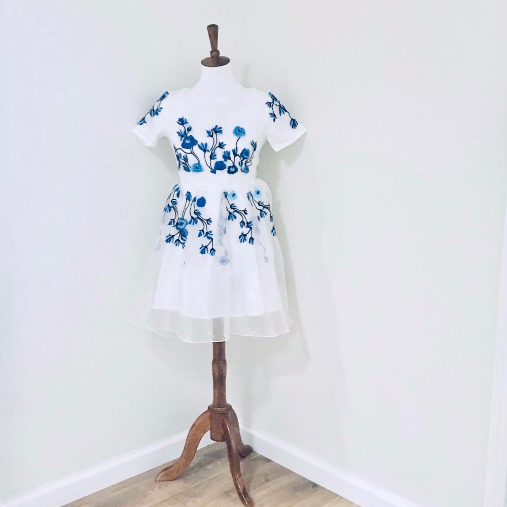 Beautiful Tulle Overlay Dress w Blue Embroidery